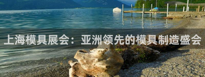 太阳诚集团有限公司怎么样：上海模具展会：亚洲领先的模具制造盛会