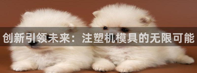 太阳集团城：创新引领未来：注塑机模具的无限可能