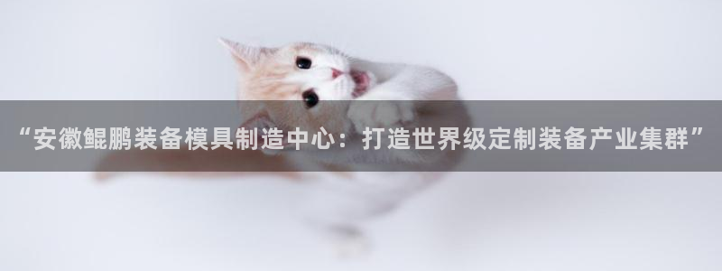 太阳成集团tyc122cc下载：“安徽鲲鹏装备模具制造中心：打造世界级定制装备产业集群”
