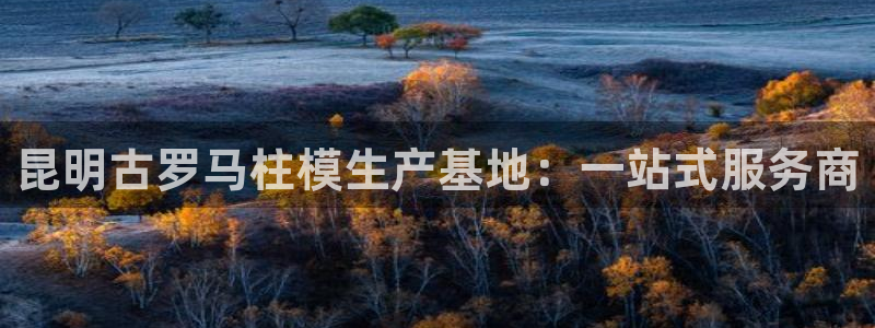 太阳app网页版：昆明古罗马柱模生产基地：一站式服务商