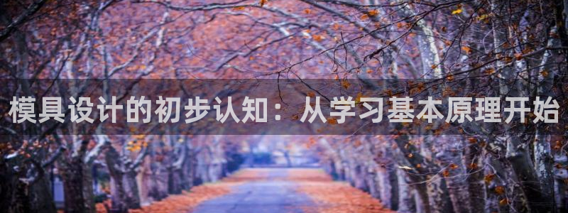 太阳集团网站2018：模具设计的初步认知：从学习基本原理开始