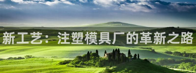 太阳成集团网址：新工艺：注塑模具厂的革新之路