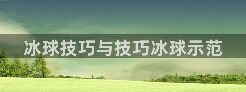 太阳集团控股有限公司：冰球技巧与技巧冰球示范