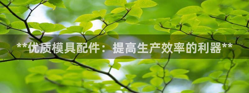 太阳gg是真的吗：**优质模具配件：提高生产效率的利器**