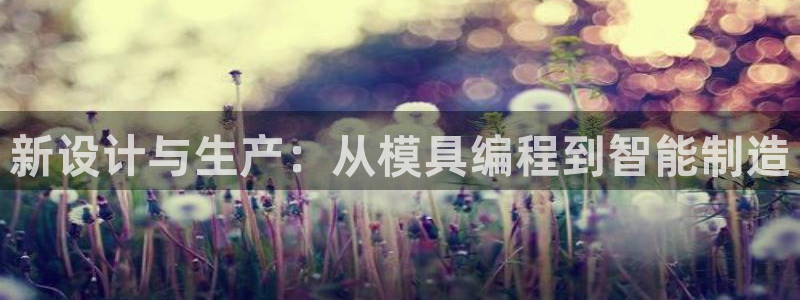 太阳集团的股价是多少