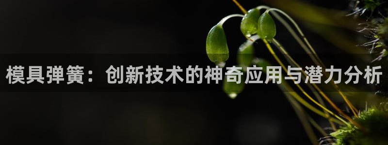 太阳集团是怎样一个公司：模具弹簧：创新技术的神奇应用与潜力分析