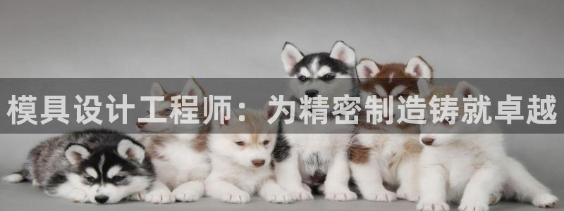 太阳成集团lougo图片：模具设计工程师：为精密制造铸就卓越