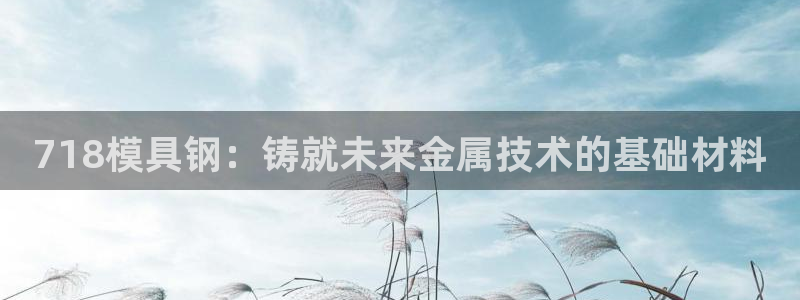 太阳集市网上商城：718模具钢：铸就未来金属技术的基础材料