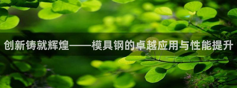 太阳成集团tyc234cc：创新铸就辉煌——模具钢的卓越应用与性能提升