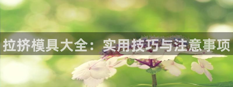 太阳gg平台地址：拉挤模具大全：实用技巧与注意事项