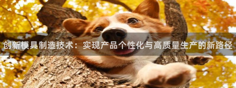 太阳集团游戏App：创新模具制造技术：实现产品个性化与高质量生产的新路径
