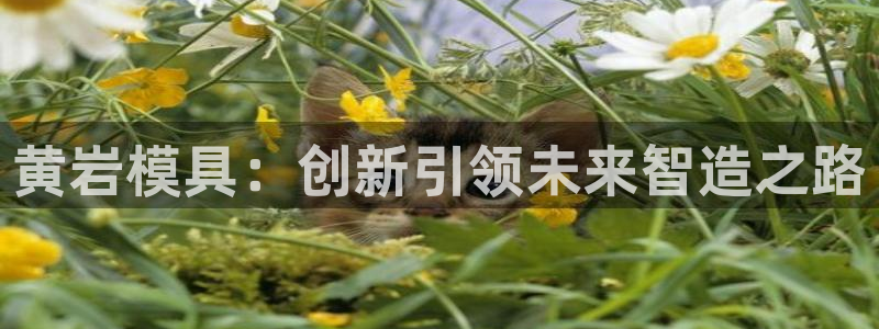 古天乐只有太阳能黑他：黄岩模具：创新引领未来智造之路