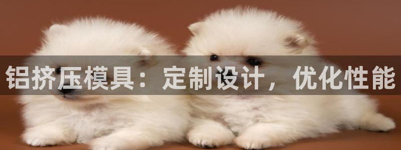 太阳集团游戏城旧版5376：铝挤压模具：定制设计，优化性能