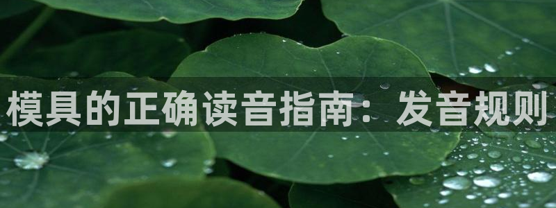 太阳集团唯一值得信赖网站是什么：模具的正确读音指南：发音规则