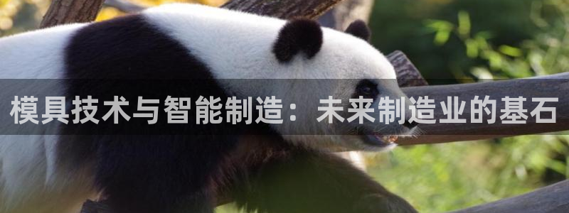 太阳诚集团在线：模具技术与智能制造：未来制造业的基石