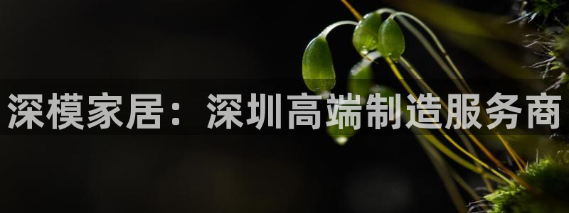 太阳集团游戏2138网站：深模家居：深圳高端制造服务商