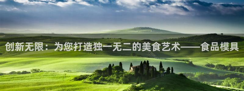 太阳成集团游戏合集：创新无限：为您打造独一无二的美食艺术——食品模具