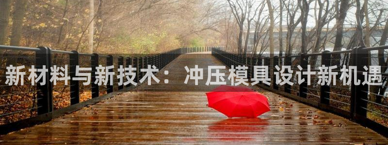 122cc太阳集成游戏官方网站版：新材料与新技术：冲压模具设计新机遇