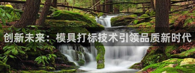 太阳集团城娱：创新未来：模具打标技术引领品质新时代