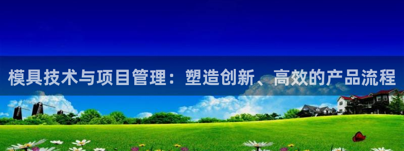 太阳国际游戏平台：模具技术与项目管理：塑造创新、高效的产品流程