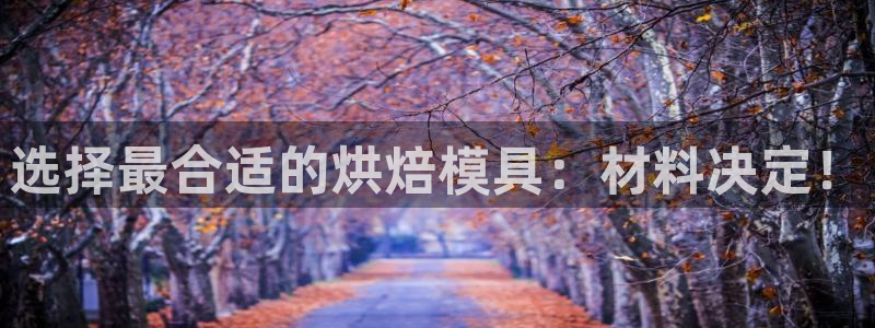 太阳诚集团有限公司是国企吗：选择最合适的烘焙模具：材料决定！