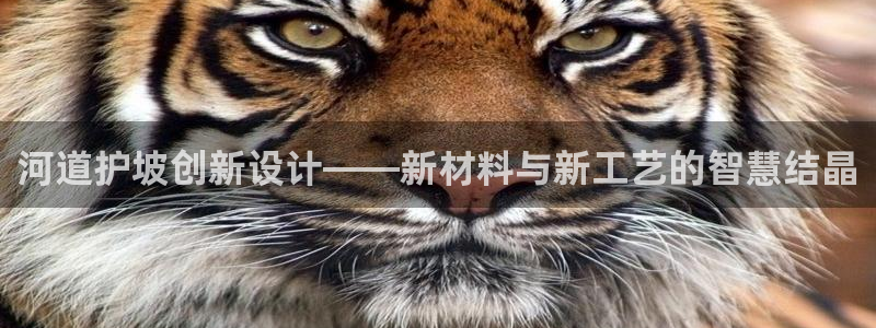 太阳集团主要是做什么的：河道护坡创新设计——新材料与新工艺的智慧结晶