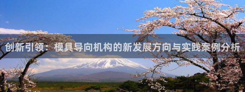 2007so太阳集团下载：创新引领：模具导向机构的新发展方向与实践案例分析