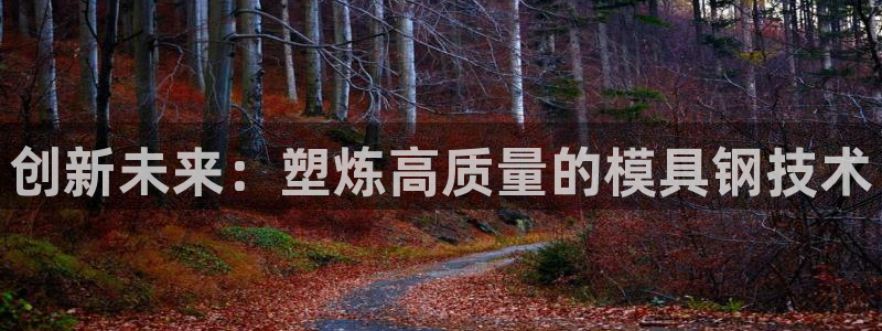 太阳集团控股有限公司官网香港：创新未来：塑炼高质量的模具钢技术