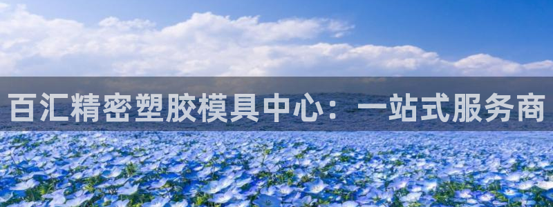 太阳gg登录地址：百汇精密塑胶模具中心：一站式服务商
