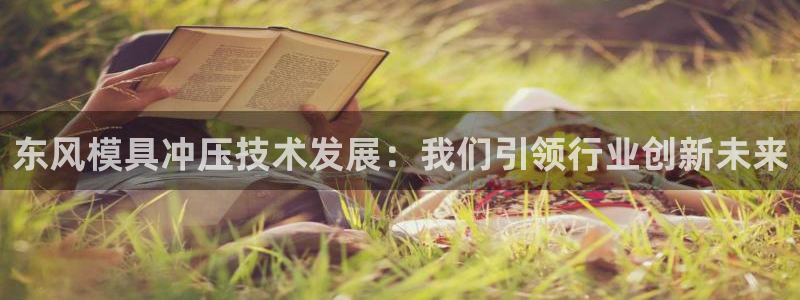 太阳成集团tyc7111cc的研发体系：东风模具冲压技术发展：我们引领行业创新未来