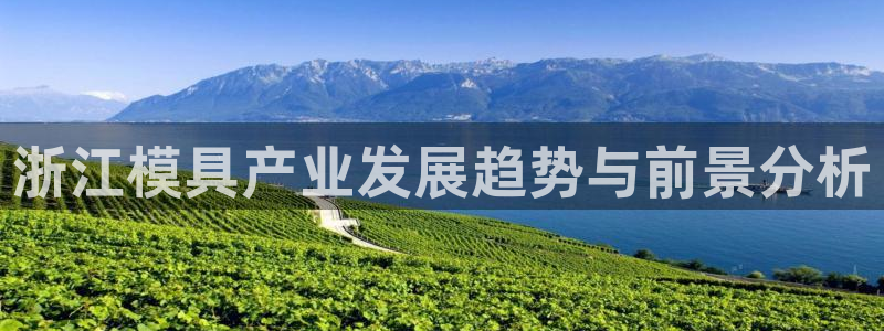 太阳集团唯一老品牌：浙江模具产业发展趋势与前景分析