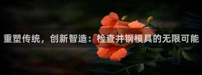 古天乐代言太阳网址ty：重塑传统，创新智造：检查井钢模具的无限可能
