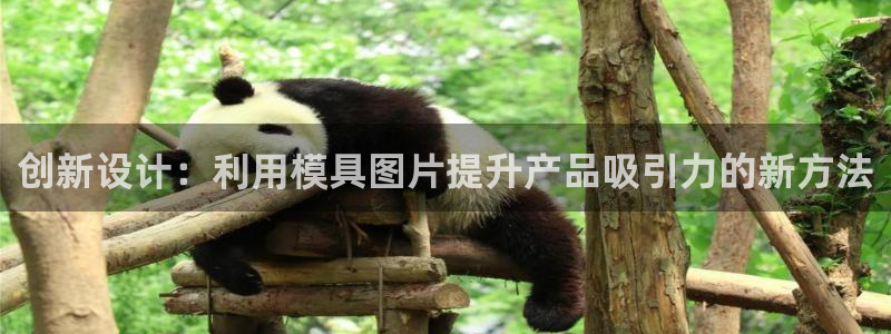 太阳集团城2018网站：创新设计：利用模具图片提升产品吸引力的新方法