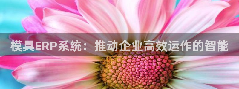 太阳集团电子游戏APP登录入口：模具ERP系统：推动企业高效运作的智能
