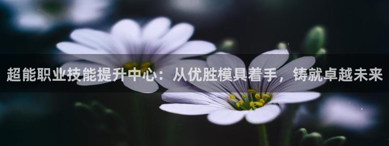 太阳集团官网导航下载：超能职业技能提升中心：从优胜模具着手，铸就卓越未来