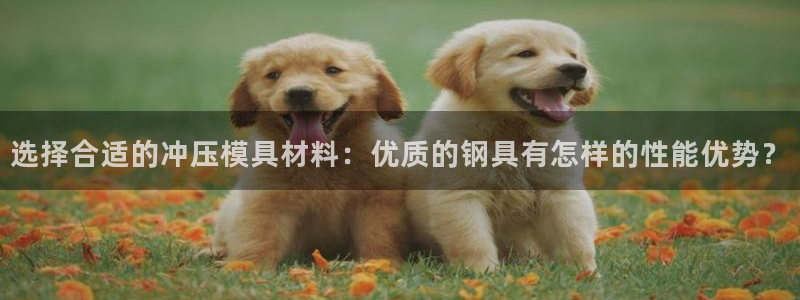 122cc太阳集成游戏官方网站：选择合适的冲压模具材料：优质的钢具有怎样的性能优势？