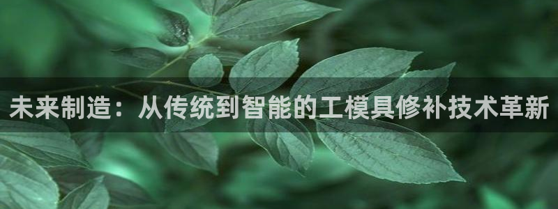 太阳集团城官方app下载：未来制造：从传统到智能的工模具修补技术革新