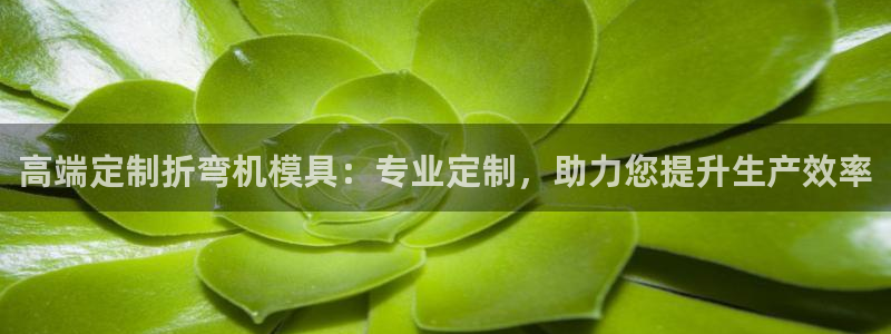 太阳集团游戏城(138)官方网址：高端定制折弯机模具：专业定制，助力您提升生产效率