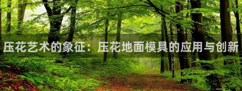15vip太阳集团官网：压花艺术的象征：压花地面模具的应用与创新