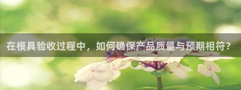 太阳集团娱乐网8722手机登录：在模具验收过程中，如何确保产品质量与预期相符？