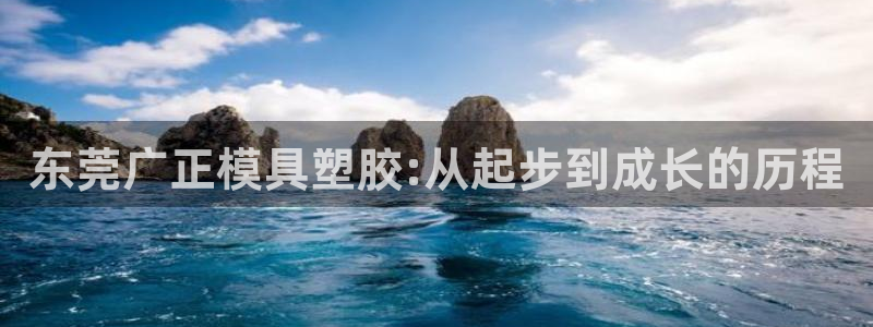 太阳集团旗下品牌：东莞广正模具塑胶:从起步到成长的历程
