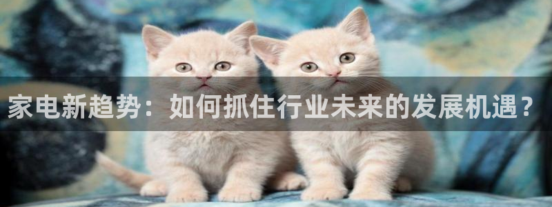 太阳成集团老板照片：家电新趋势：如何抓住行业未来的发展机遇？