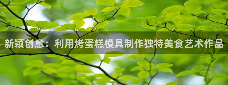 澳门太阳集团洗米华：新颖创意：利用烤蛋糕模具制作独特美食艺术作品
