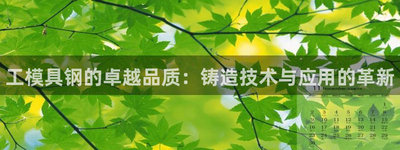 太阳成娱乐集团：工模具钢的卓越品质：铸造技术与应用的革新