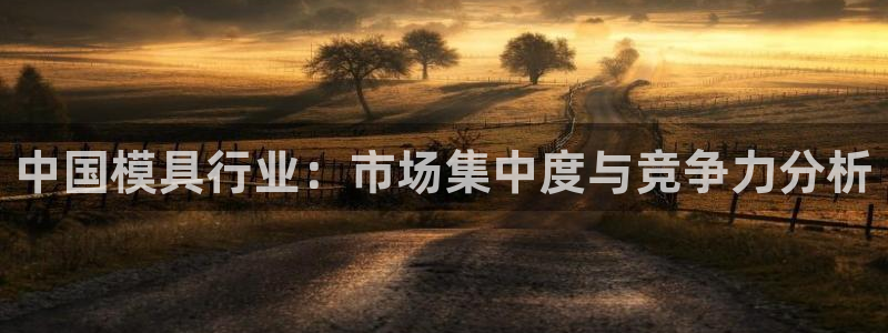 太阳成集团tyc9728：中国模具行业：市场集中度与竞争力分析