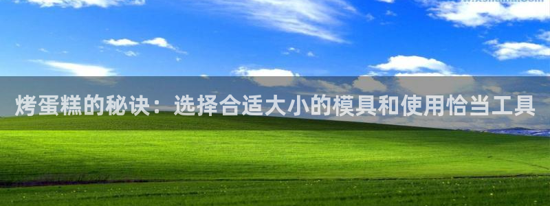 太阳成集团老板照片：烤蛋糕的秘诀：选择合适大小的模具和使用恰当工具