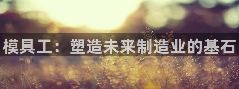 太阳集团主要是做什么的：模具工：塑造未来制造业的基石