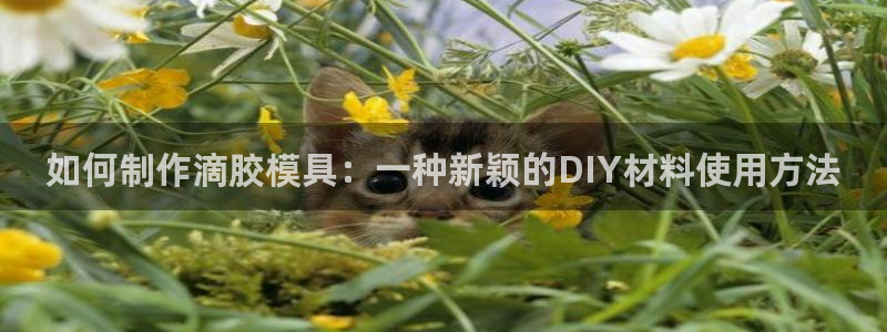 太阳1城集团网址查询：如何制作滴胶模具：一种新颖的DIY材料使用方法