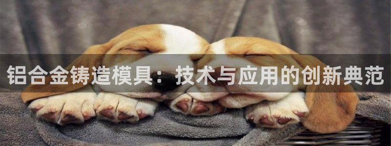 太阳集团app十佳平台是什么：铝合金铸造模具：技术与应用的创新典范