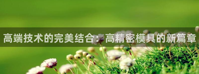 1593太阳集团城所有网址：高端技术的完美结合：高精密模具的新篇章